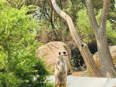 -威勒比开放式动物园