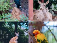 -乐和乐都主题乐园