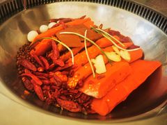 -悦见花开·花园里的火锅·露营·下午茶