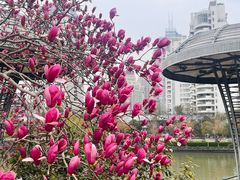 -西湖文化广场