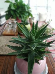 -瑜舍瑜伽连锁教室