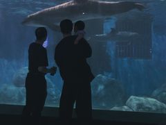 -福州罗源湾海洋世界旅游区