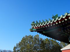-西苑美食城(龙湖星悦荟店)