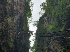 -鹿院坪生态旅游景区