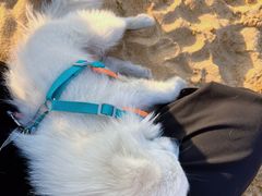 -威海国际海水浴场旅游区