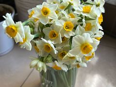 -溪岸路花鸟市场