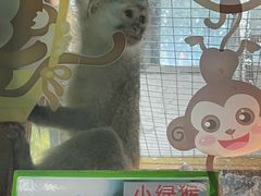-常州淹城野生动物世界
