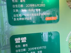 -武汉动物园