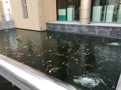 -深圳市人民医院(留医部)