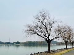 景点-上海月湖雕塑公园