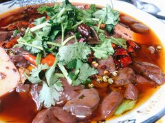 毛血旺-土桥手掌鸡·26年灌县老味道(都江堰店)