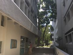 -大埔公路-马料水段香港中文大学(公交站)