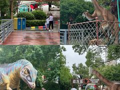 -海合安武汉极地海洋公园