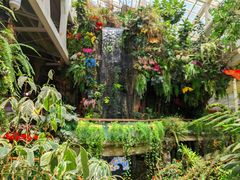 -正佳雨林生态植物园