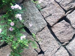 -滆湖低碳生态公园