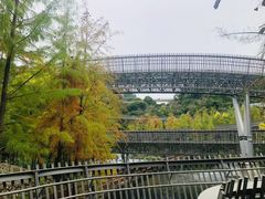 -福道