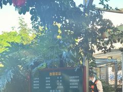 -瑞丰园庭院餐厅·白族传统家常菜