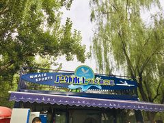 -WhaleSports户外水上运动俱乐部(朝阳公园店)