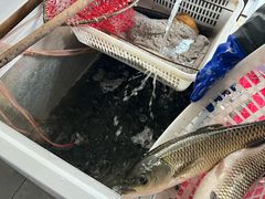 -金三可市井水煮鱼(金碧园店)