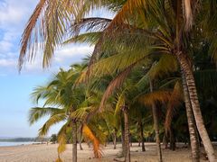 -三亚海棠湾万丽度假酒店