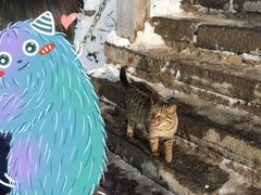 -终南山南五台景区