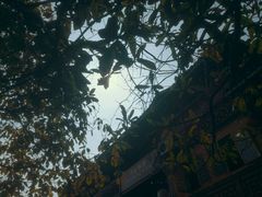 -龙津风雨桥