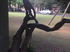 -同济大学(沪西校区)