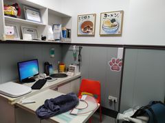 -伟伟宠物医院·瑞派猫友好医院·猫科(光谷店)