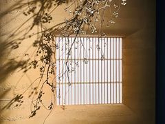 -龙华寺