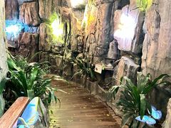 -正佳雨林生态植物园