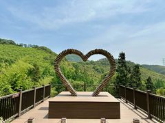 -东明山森林公园