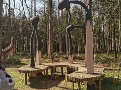 -东平国家森林公园