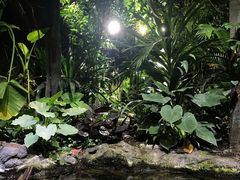 -江和美海洋公园