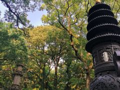 -普陀山风景名胜区-法雨禅寺