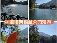 -广州市流溪河国家森林公园