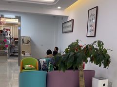 -北京观赏动物医院·24小时大型综合·猫专科·异宠专科