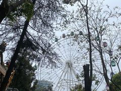 -塔子山公园