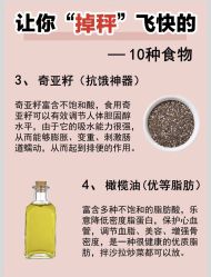 -Fundi张玉珊修身堂·indiba·BTL科技瘦身