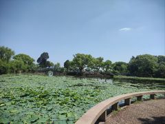 -无锡蠡湖国家湿地公园-蠡园