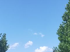 -沪上阿姨鲜果茶(华新大街店)