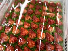 -山姆会员商店(杨桥西路店)