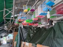-园圃街雀鸟花园
