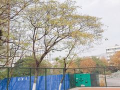-南京晓庄学院(莫愁校区)