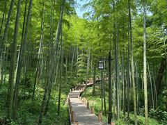 -东明山森林公园
