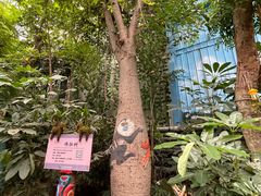 -呀路古热带植物园