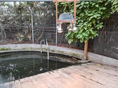 -呀路古热带植物园