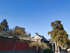 -闻道食府烙饼卷带鱼(原车耳营店原大觉寺店)