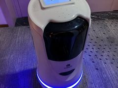 -麗枫酒店(深圳坪山高铁站龙东地铁站店)