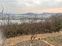 -羊山湖公园