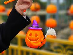 -七彩云南欢乐世界